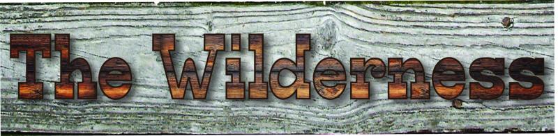 Wilderness